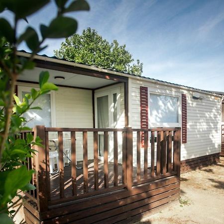 Bungalows Zaragoza Camping Екстериор снимка