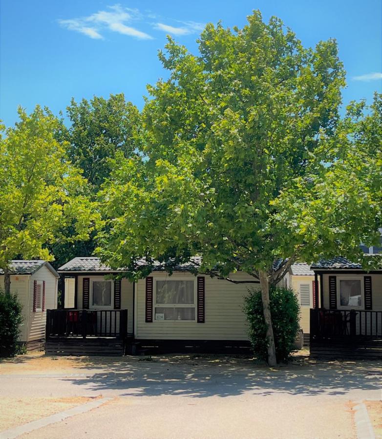 Bungalows Zaragoza Camping Екстериор снимка