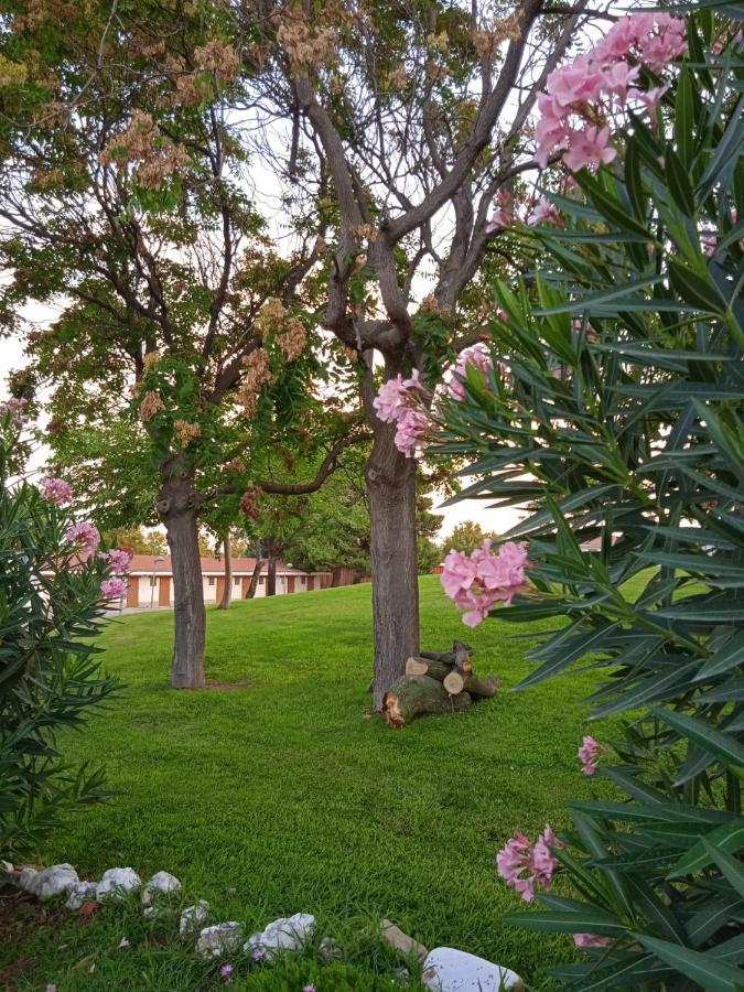 Bungalows Zaragoza Camping Екстериор снимка