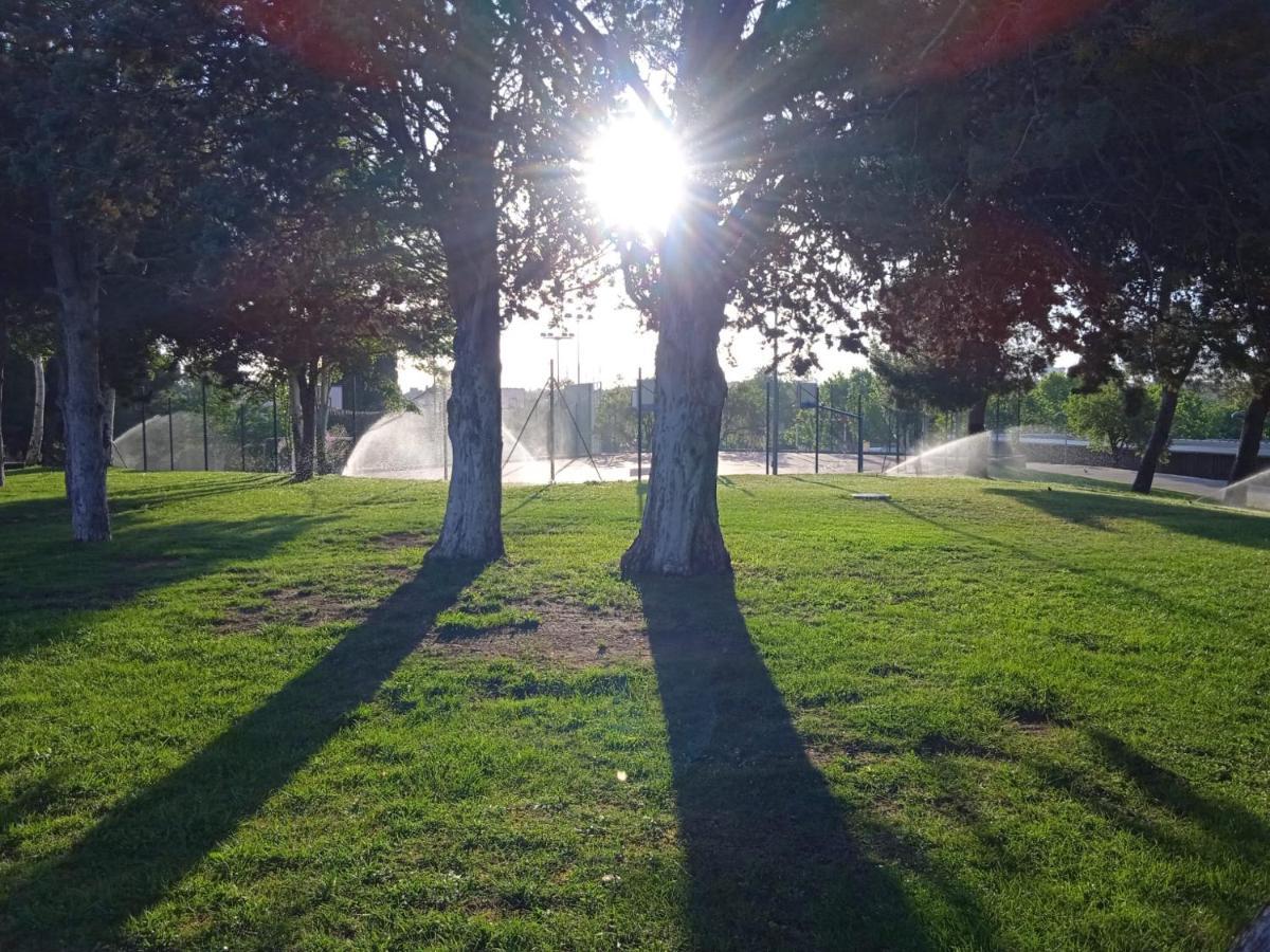 Bungalows Zaragoza Camping Екстериор снимка