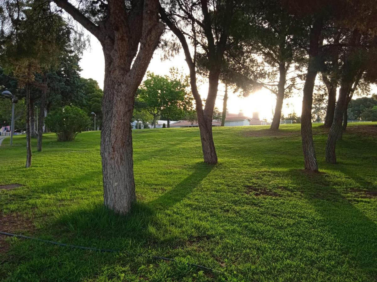 Bungalows Zaragoza Camping Екстериор снимка